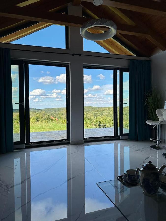 Casa Moderna In Sinteu - Intersectia Intre Modern Si Linistea Naturii Huta Voivozi Екстериор снимка