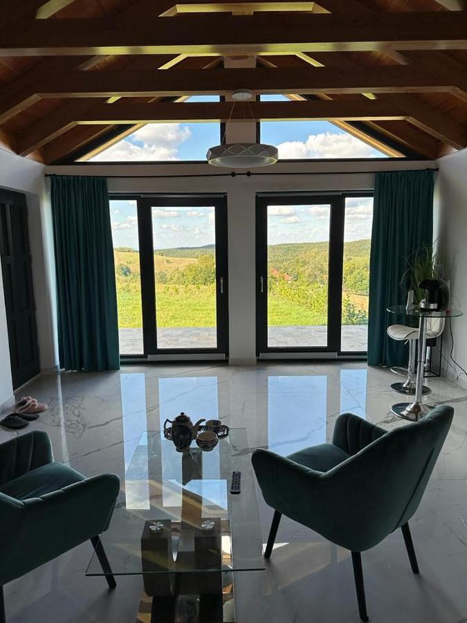 Casa Moderna In Sinteu - Intersectia Intre Modern Si Linistea Naturii Huta Voivozi Екстериор снимка
