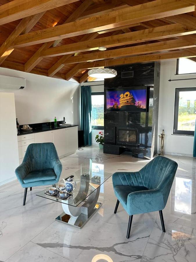 Casa Moderna In Sinteu - Intersectia Intre Modern Si Linistea Naturii Huta Voivozi Екстериор снимка